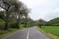 Road from SuÃÂany to TurÃÂianska Stiavnicka in springtime, Slovakia